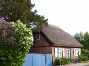 Alte Kate mit Bau-& Zirkuswagen im Gartenidyll, Kasnevitz